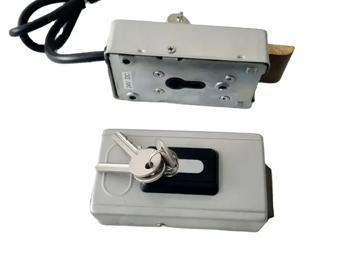 Serrure Électrique pour Porte Pivotante, Système d'Ouverture, 12V ou 24VDC